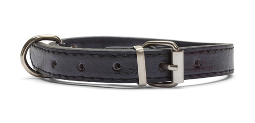 Black Leather Dog Collar