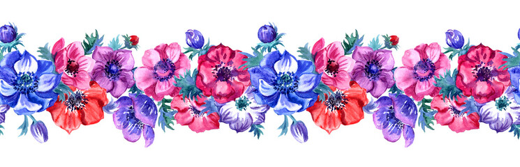Anemone seamless border, watercolor illustration on white background.