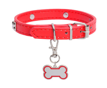 Dog Bone Tag And Red Collar