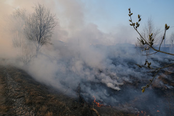 The grass is Burning near houses, danger of fire, ignition.