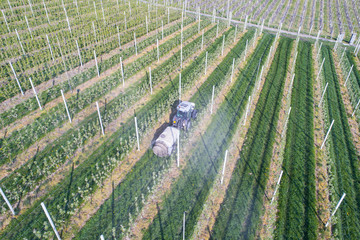 The tractor in a field sprays the fertilizer