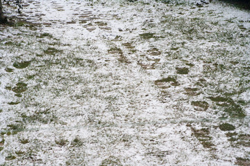 Weather anomaly. Snow falling in spring in April and May.