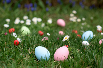 Fototapeta na wymiar Blue and pink Easter hen eggs in a grass