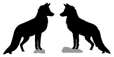 Black silhouettes of two red foxes (Vulpes vulpes). Slightly different vector shapes of two wild vixen from the side/profile, standing tall on a rock and looking forward.