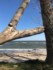 R&uuml;gen Coastline