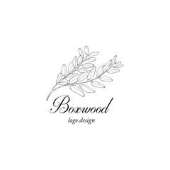 Boxwood plant branch. Greenery design element.