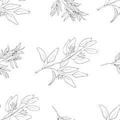 Seamless botanical line art pattern. Background with eucalyptus.