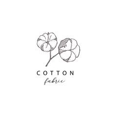 Floral hand drawn design elements. Line art isolated on the white background.