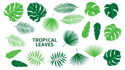 Behang Tropische bladeren Set van tropische groene bladeren. Vectorillustratie met tropische bladeren in papier knippen stijl geïsoleerd op een witte achtergrond.