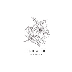 Floral hand drawn design elements. Line art isolated on the white background.