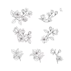 Florale handgezeichnete Designelemente. Strichzeichnungen auf dem weißen Hintergrund isoliert. © vectorgirl