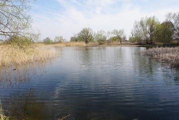 Fototapeta na wymiar view of the spring lake