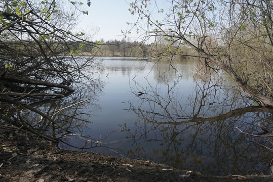 view of the spring lake