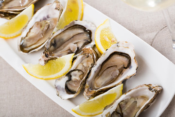 Raw oysters