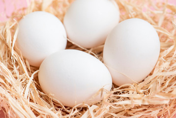 White chicken eggs in hay nest.