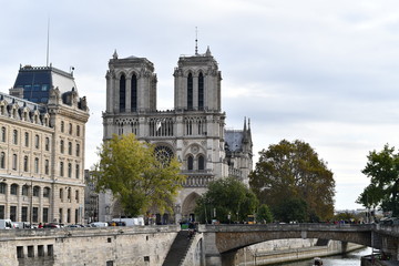 Fototapeta premium notre dame de paris