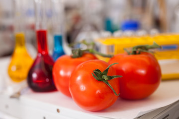 Tomatoes on table with lab equipment