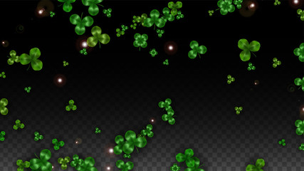 Vector Clover Leaf  Isolated on Transparent Background with Space for Text. St. Patrick's Day Illustration. Ireland's Lucky Shamrock Poster. Invintation for Concert in Pub. Top View. Success Symbols.