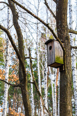 Bird house landscape