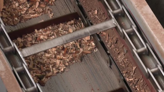 Wood waste moves on a conveyor belt. On modern plant for recycling and mechanical waste sorting pile of chips on conveyor belt after shredder grinding moved for further processing. 