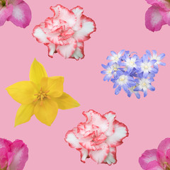 spring flowers seamless background pattern