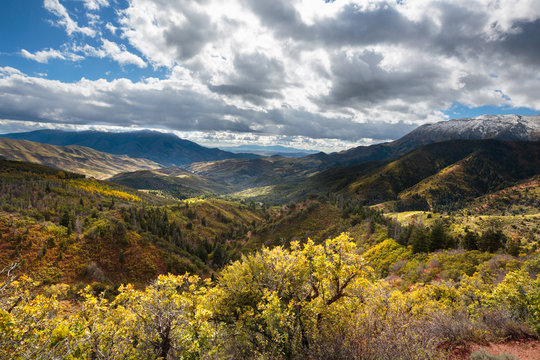 Fall colors in Wasatch Mountain Range, Utah, USA