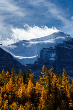 Haddo Peak above golden tamaracks, Alberta, Canada