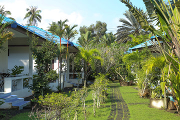 Fototapeta premium a path in a tropical village among palm trees and houses