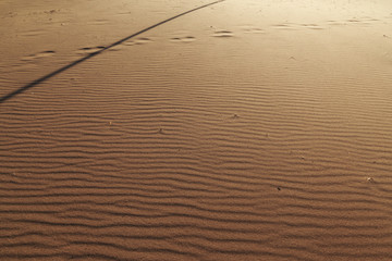 Background texture of wavy sand. Annual growth of area of sand. Sand dunes with footsteps for holiday vacation concept