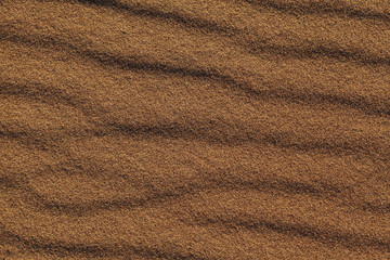 Fototapeta na wymiar Texture sandy surface with the ripples formed by wind sand. Sand dunes texture background. Wood chips stuck of the sand