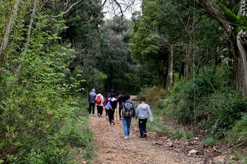 a group of tourists in the forest walk along narrow paths