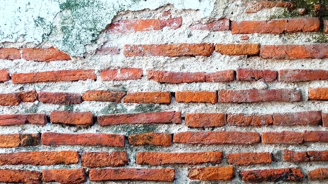 4K Grungy urban background of a brick old more than 150 years grungy texture grey concrete tree on wall texture patterns	