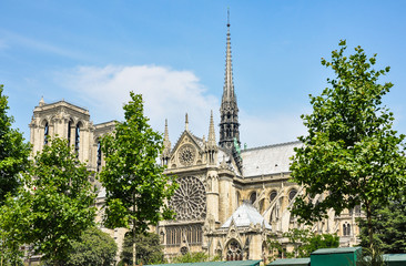 Fototapeta na wymiar Notre-Dame de Paris, one of the finest examples of French Gothic architecture, Europe.