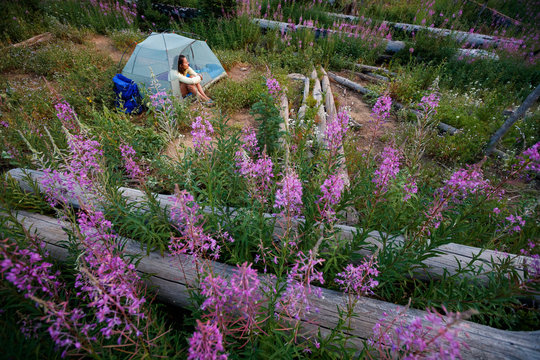 A female backpacker in a tent reads from an electronic reader amidst fireweed in the Seven Devils Mountains, Idaho.