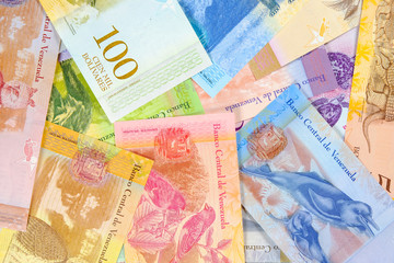 Old Venezuela bolivar banknotes, different bills. Venezuelan bolivar fuerte. Colorful reverse side bolivares with animals close up background.