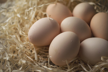 Easter eggs on hay