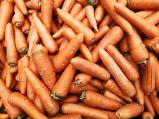 vegetable department of a supermarket. washed fresh carrots. useful dietary product with vitamins. carrots in the store