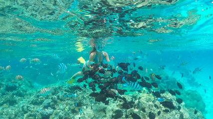 UNDERWATER: Young tourist girl interacting with colorful fish while snorkelling.