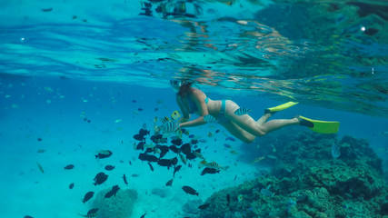Naklejka na ściany i meble UNDERWATER: Young woman on vacation in Bora Bora swimming with tropical fish.