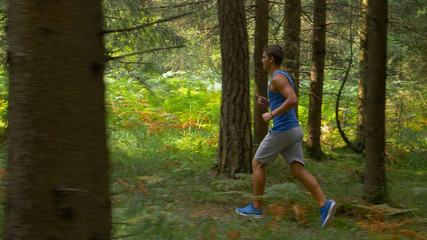 Fit Caucasian man running through the sunlit forest on a perfect summer day.