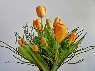Tulpenstrauß