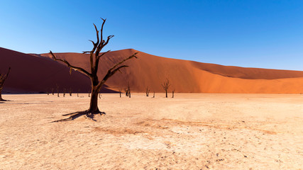 Sossusvlei