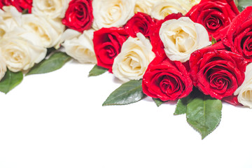 White and red roses on white background