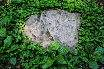 stone in foliage