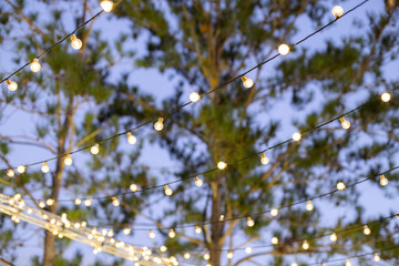 Árbol con luces