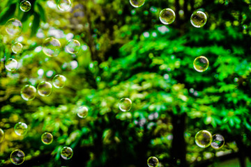 Beautiful colorful black and white soap bubbles texture background and wallpaper