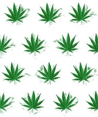 Cannabis Leaves Pattern