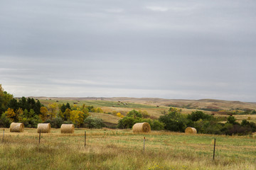 rural landscape with bales of hay