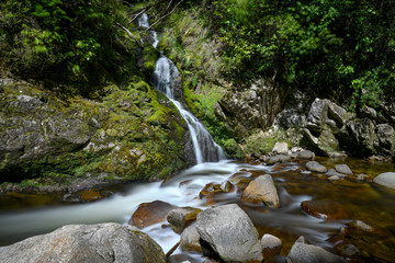 Wainui Falls Neuseeland