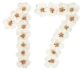 Numeral 17, seventeen, from natural white flowers of apricot tree, isolated on white background